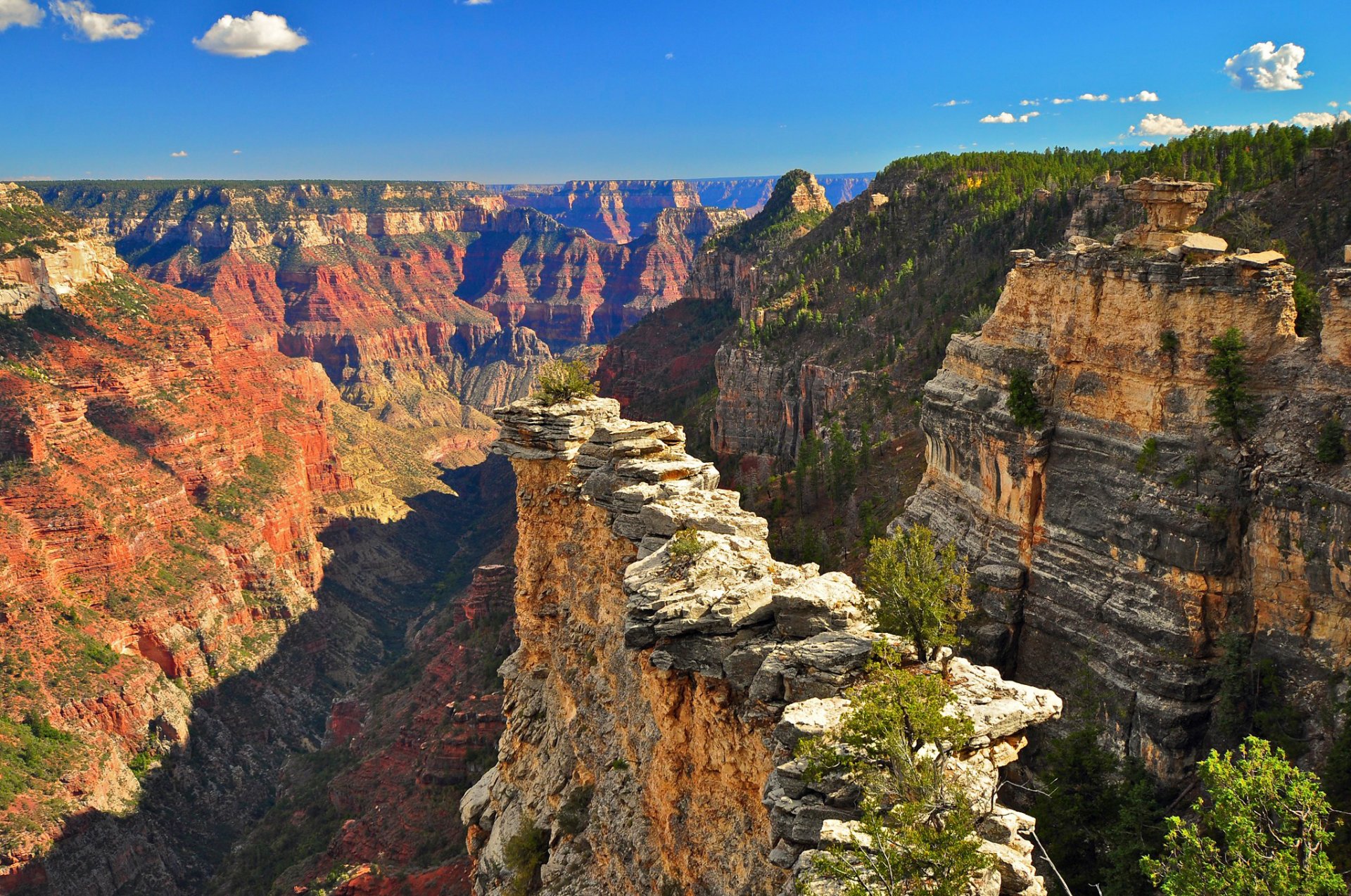 parque nacional del gran cañón estados unidos cielo nubes montañas cañón árboles