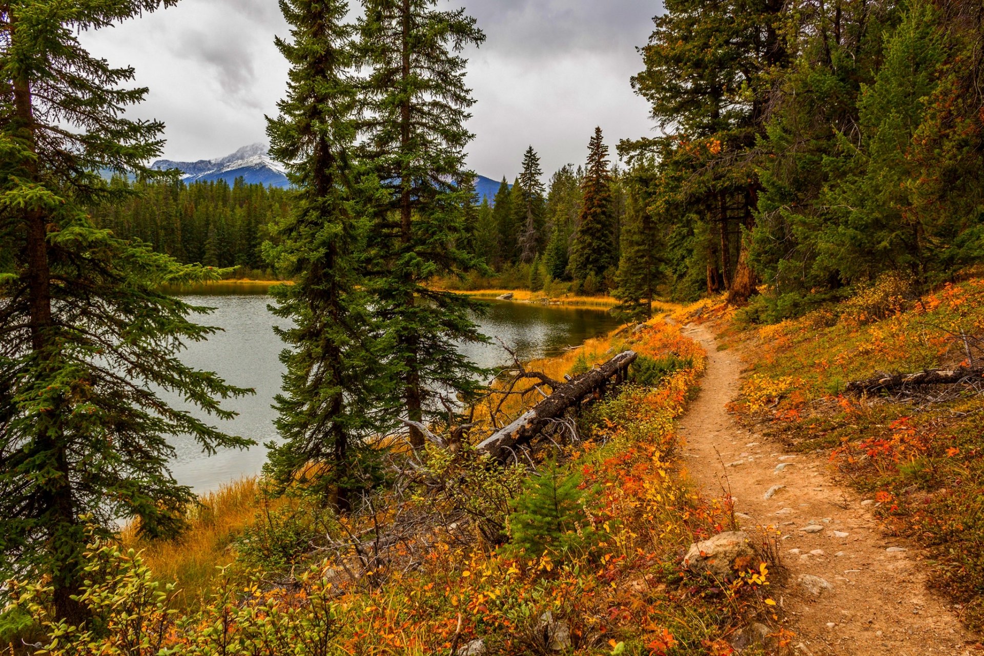 nature sky clouds river water forest park trees leaves colorful autumn fall colors walk mountain