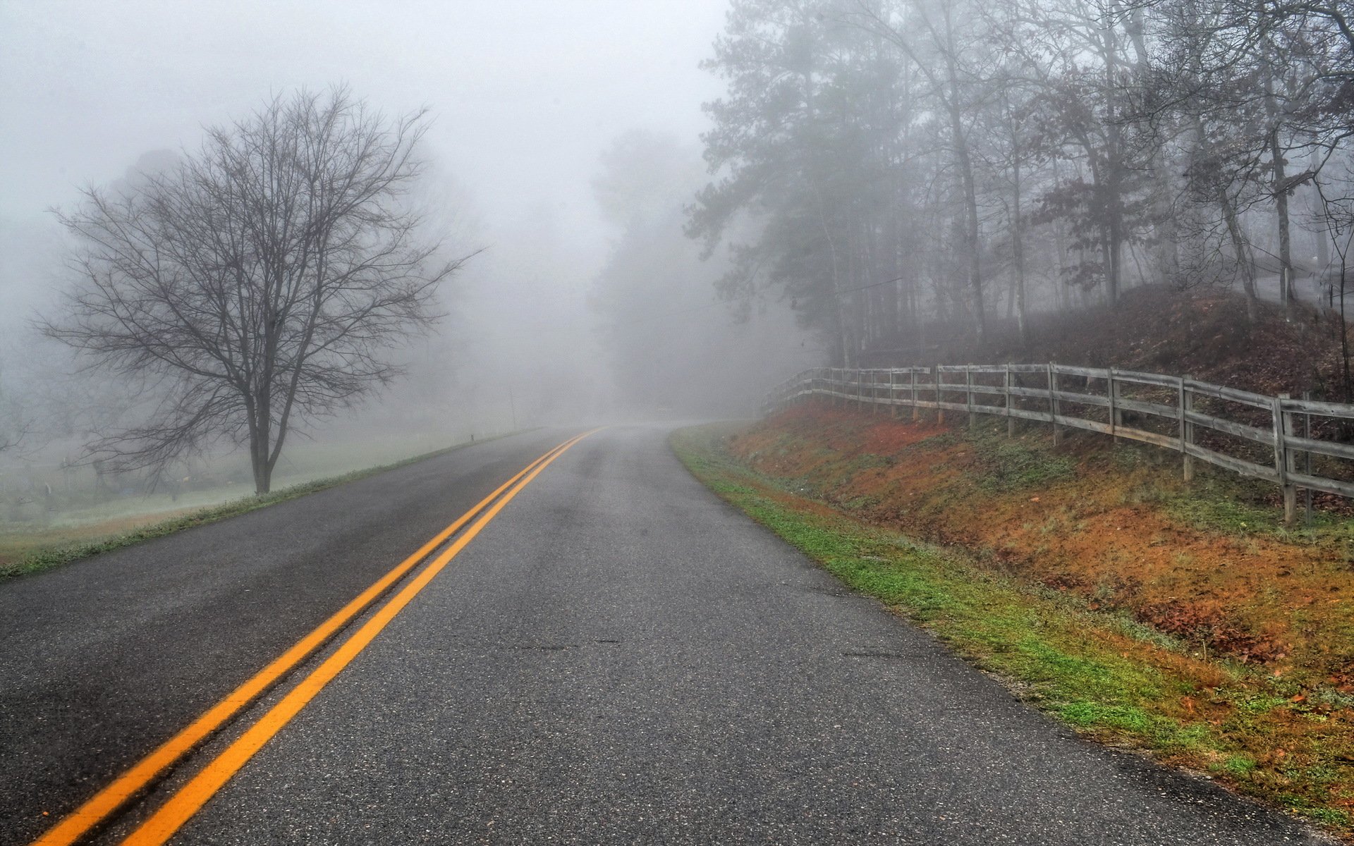 carretera niebla cerca paisaje