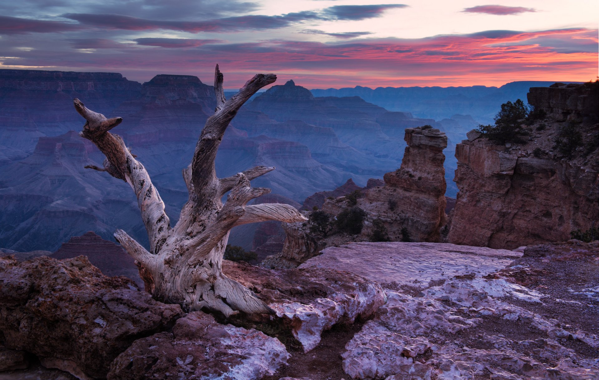 united states canyon rock stones snag sky cloud