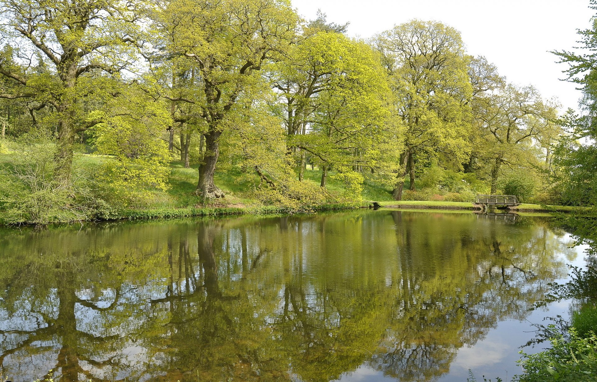 park fluss bäume brücke frühling grüns