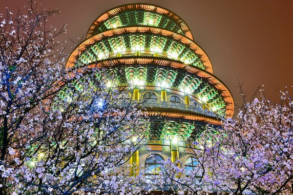 Lumières de nuit du bâtiment en fleurs de cerisier