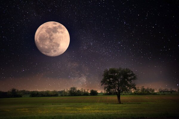 Une énorme lune dans un ciel étoilé plane sur un champ avec des arbres