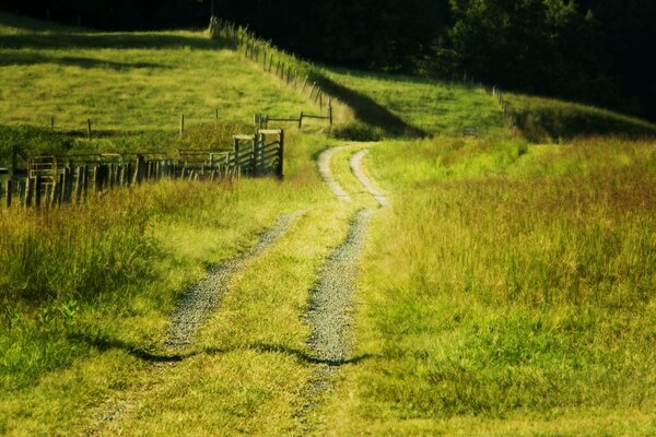 Sommerstraße neben dem Zaun