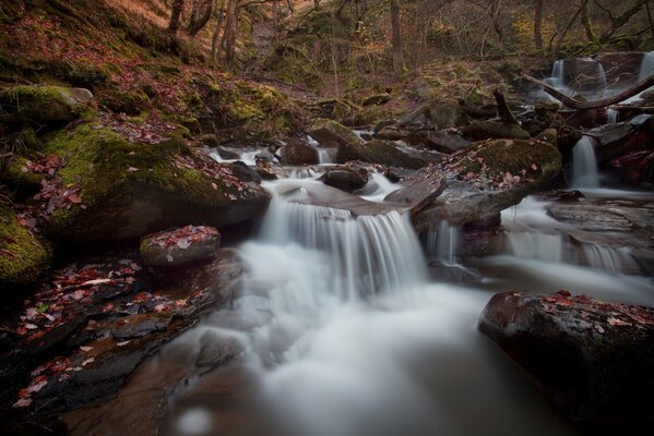 The river flows down the stones in a very gentle cascade