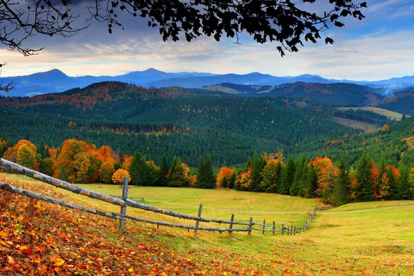 Bunte Natur und majestätische Berge