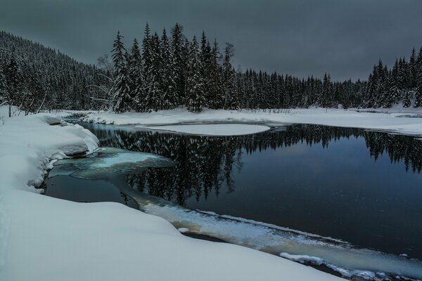 Lac dans la forêt d hiver