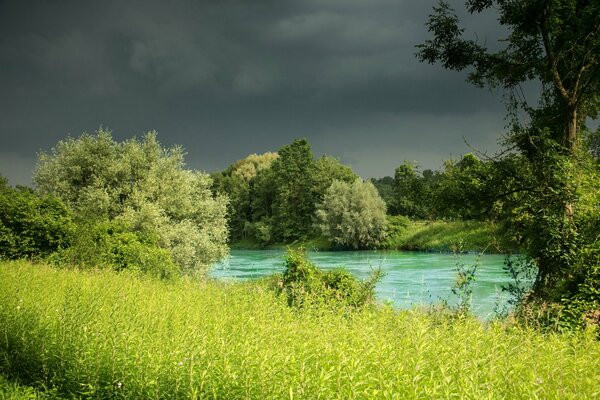 Wysoka zielona trawa i niebieska rzeka