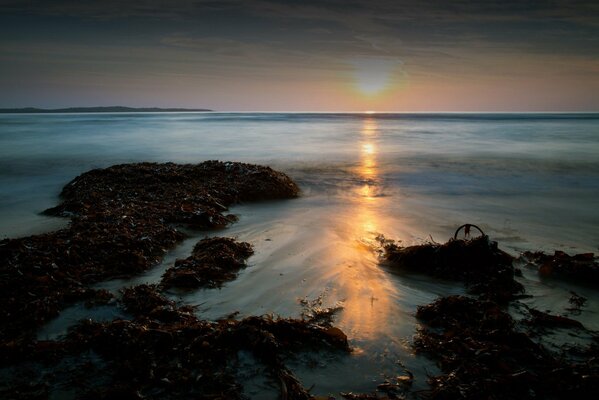 Paesaggio: tramonto in riva al mare