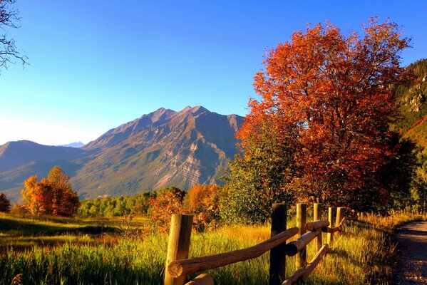 Paisaje de montaña de otoño contra el cielo