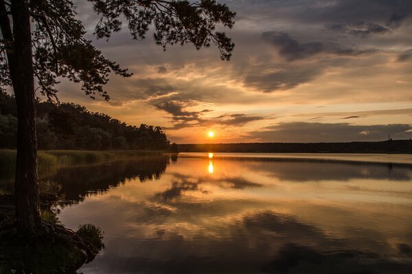 Отражение закатного солнца на лесном озере