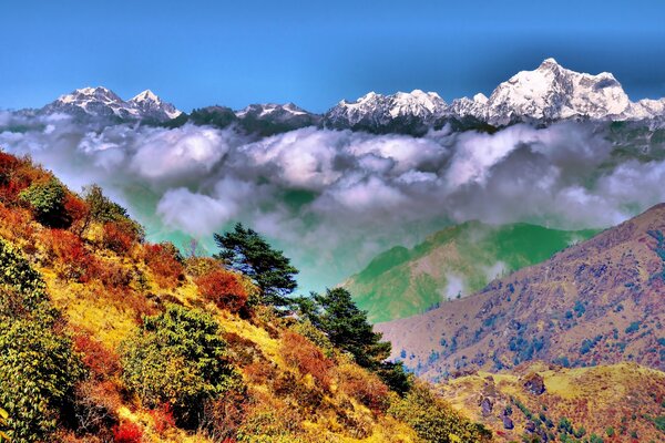 Parque nacional de colores en medio de brumosas montañas cubiertas de nieve y cielos azules