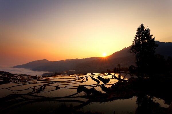 Sunrise in the rice fields