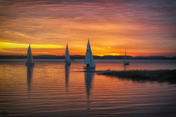 Sailboats at sunset by the lake