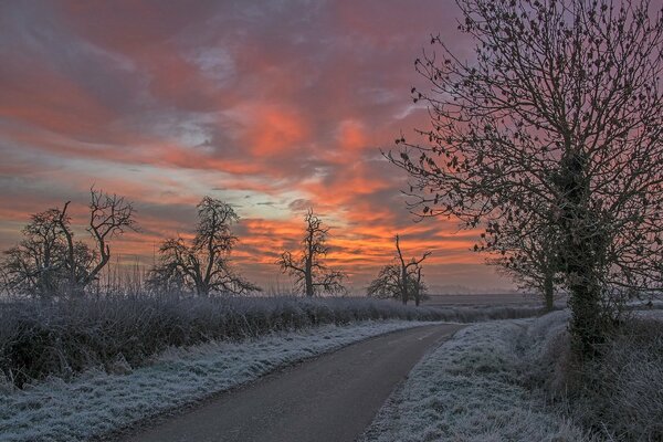 The first frosts in the early morning