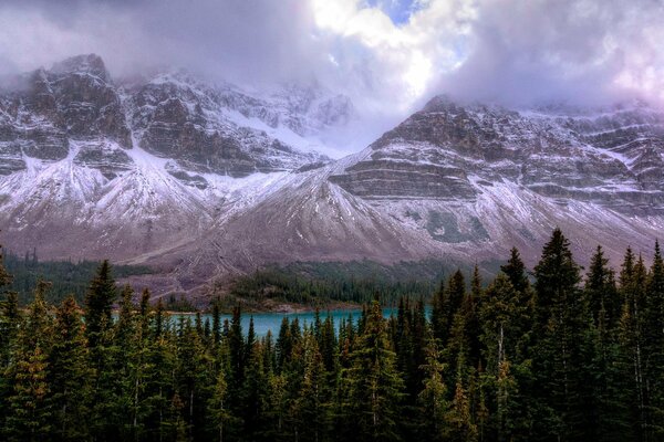 Forest and mountains covered with fog