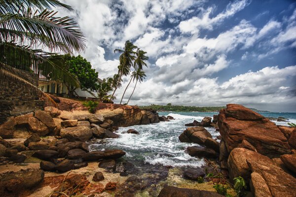 Sri Lanka beach with palm trees and rocks