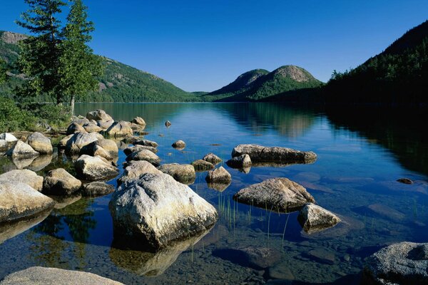 Lake in Maine National Park