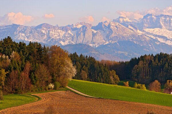 Fields of Switzerland against the background of mountains