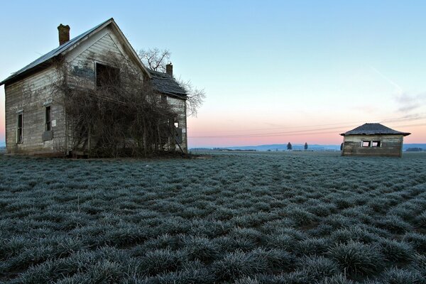 An abandoned house in a dry field