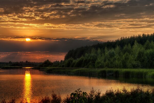 Sunset in the summer forest over the river