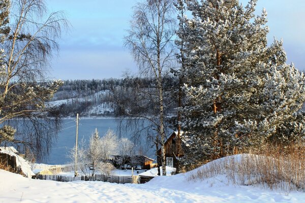 Winter russisches Dorf mit Baum