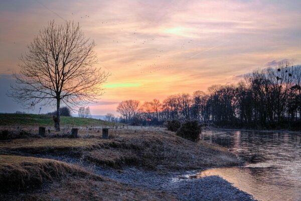 The first frost on the river bank