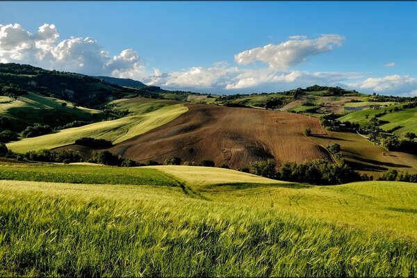 Verdi colline nei boschi D Italia