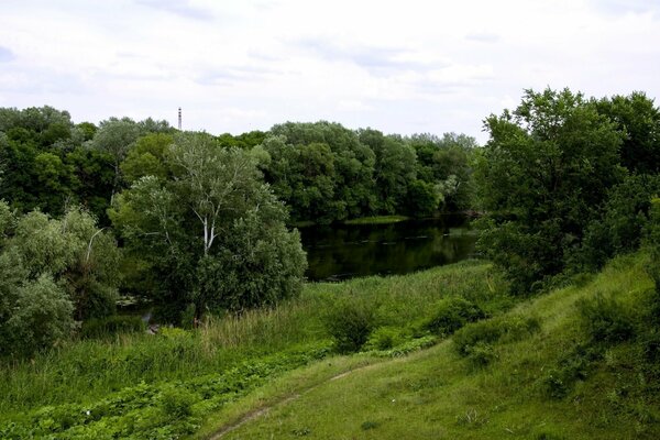 Dichter grüner Wald und tiefer See