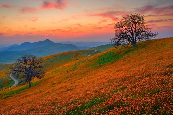 Sunset lit up the hills in red