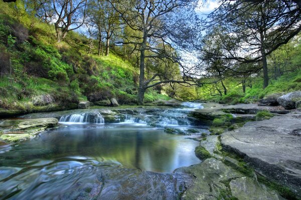 Landschaft des Nationalparks mit Fluss und Bäumen an den Hängen