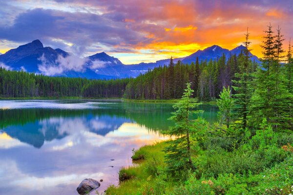 Hermosa combinación de montañas bosque lago cielo y puesta de sol