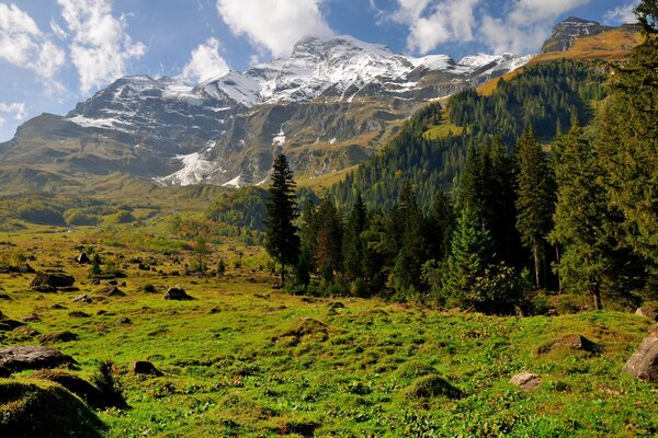 Sommets des montagnes dans la neige