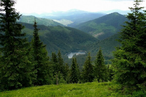 Große Berge mit See und Wald