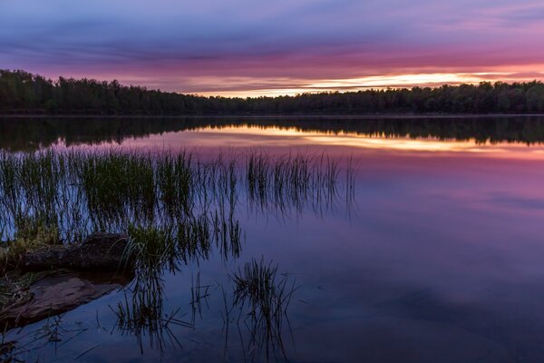 A mirrored landscape in a pink sunset. Grass is visible from the water