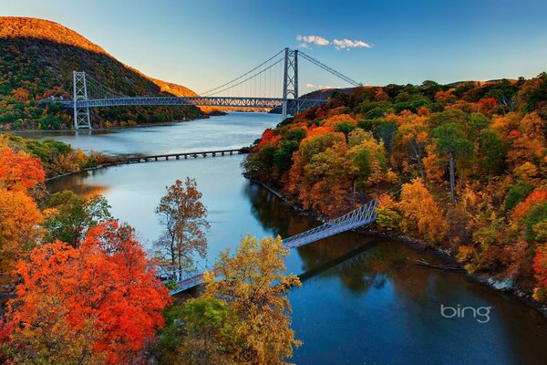 Paesaggio autunnale alberi ponte fiume