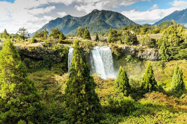 Árboles de Navidad verdes en el fondo de una cascada y montañas