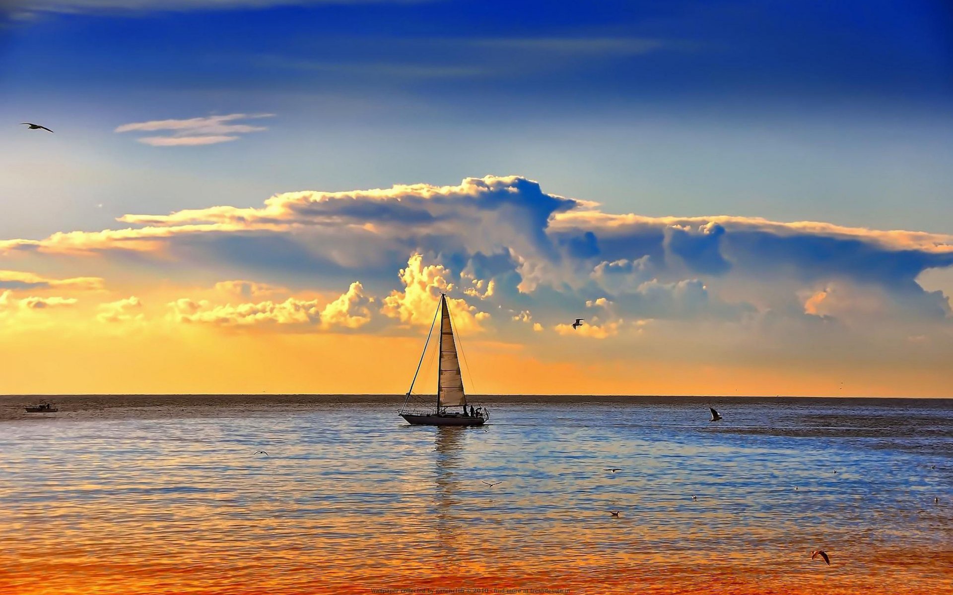 yate mástil vela horizonte cielo nubes aves mar océano amanecer