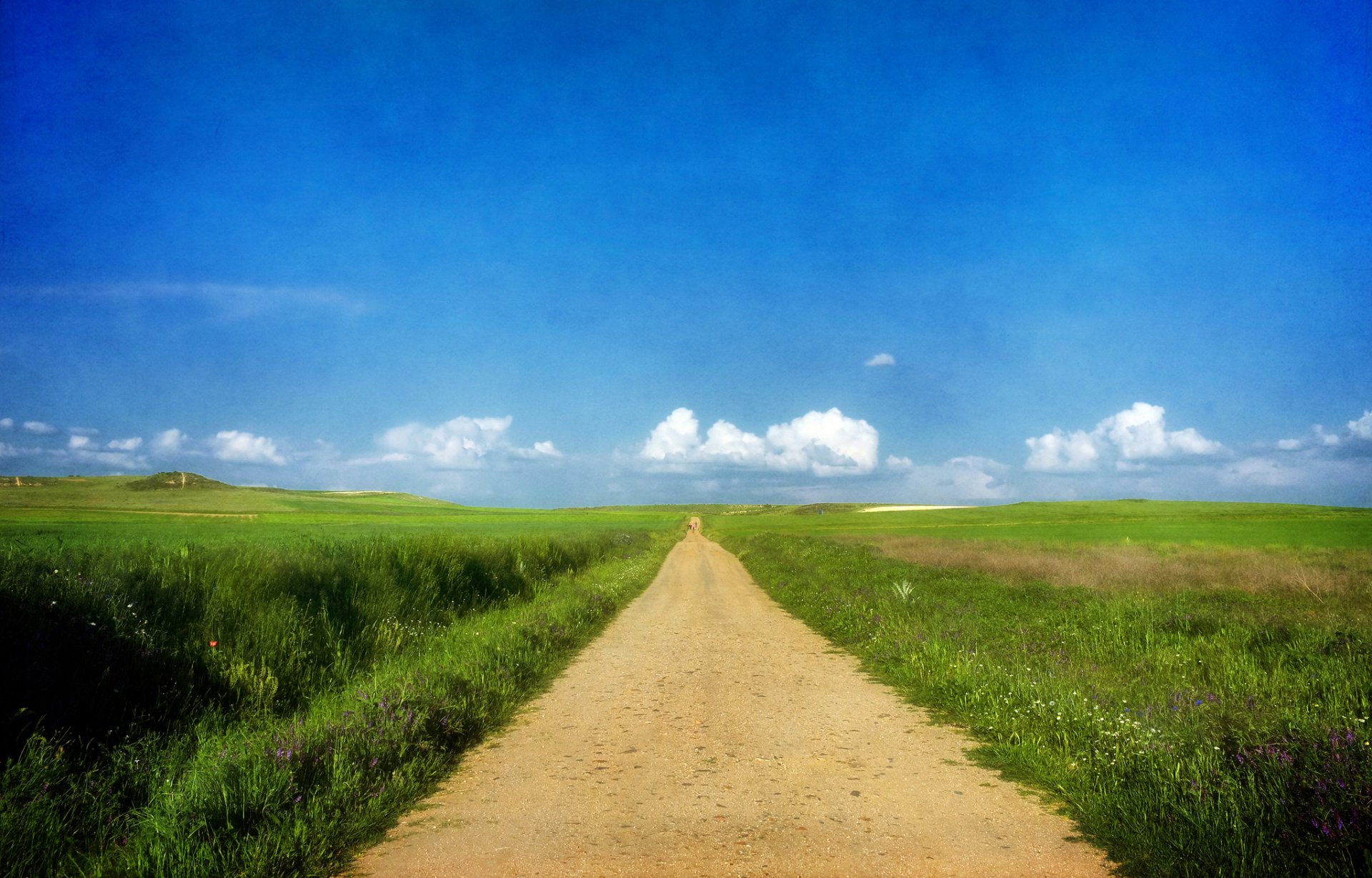 strada erba estate soleggiato cielo nuvole