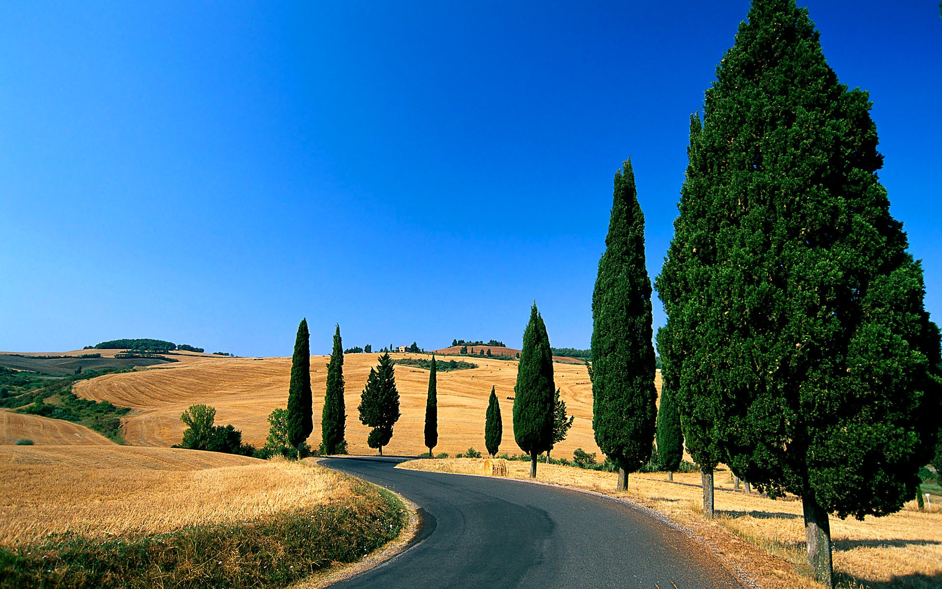 tuscany italy sky hills road of the field tree