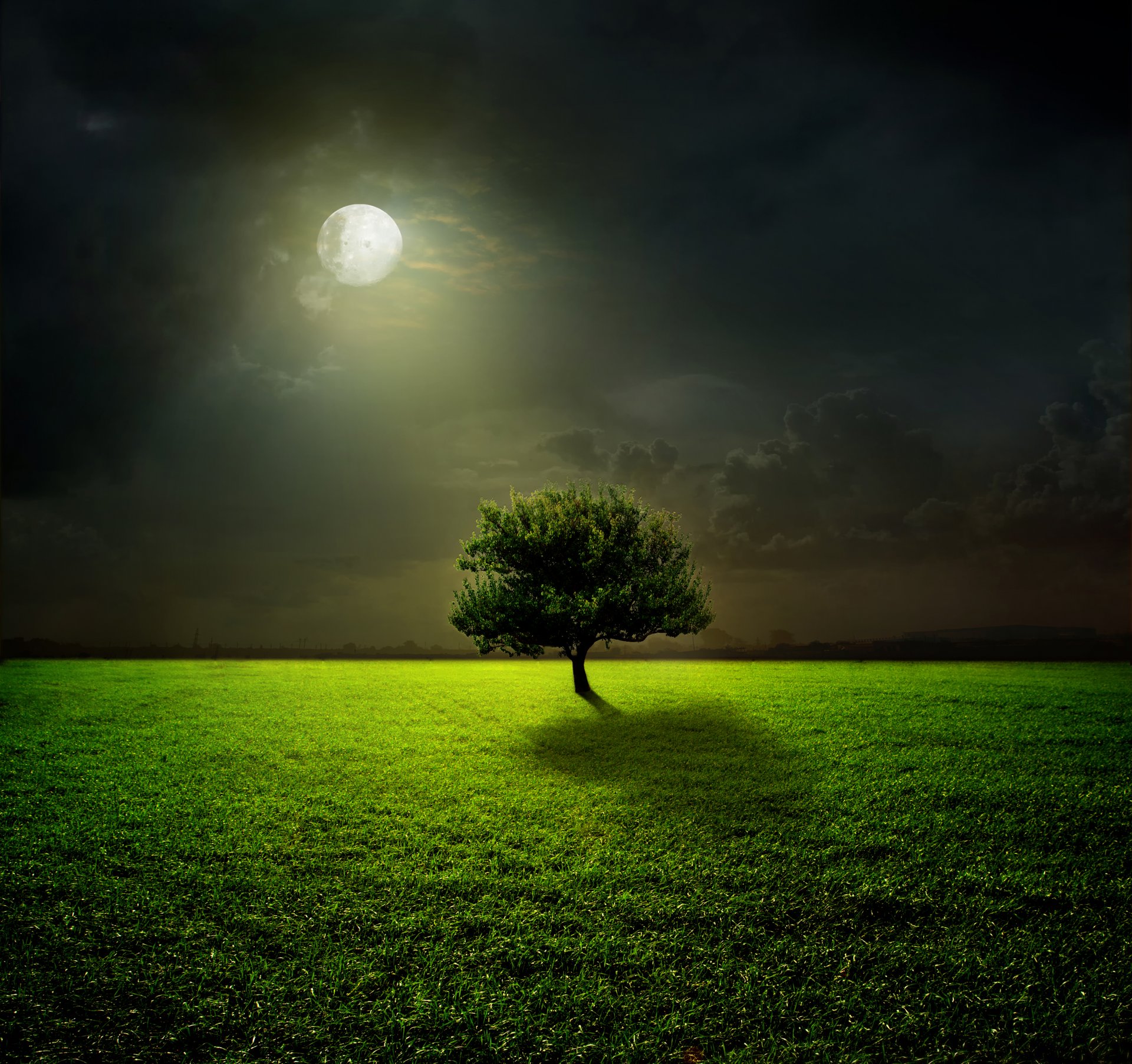 moon moonlight field tree grass night sky green cloud