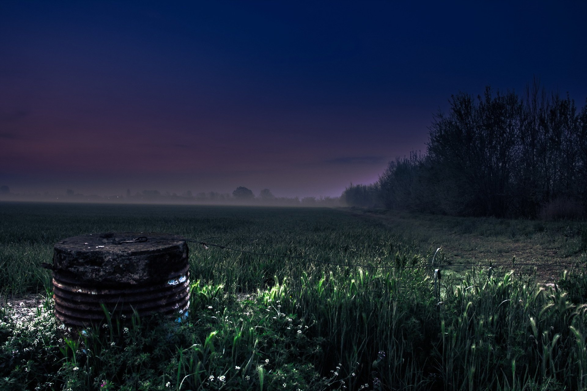 noche campo niebla paisaje