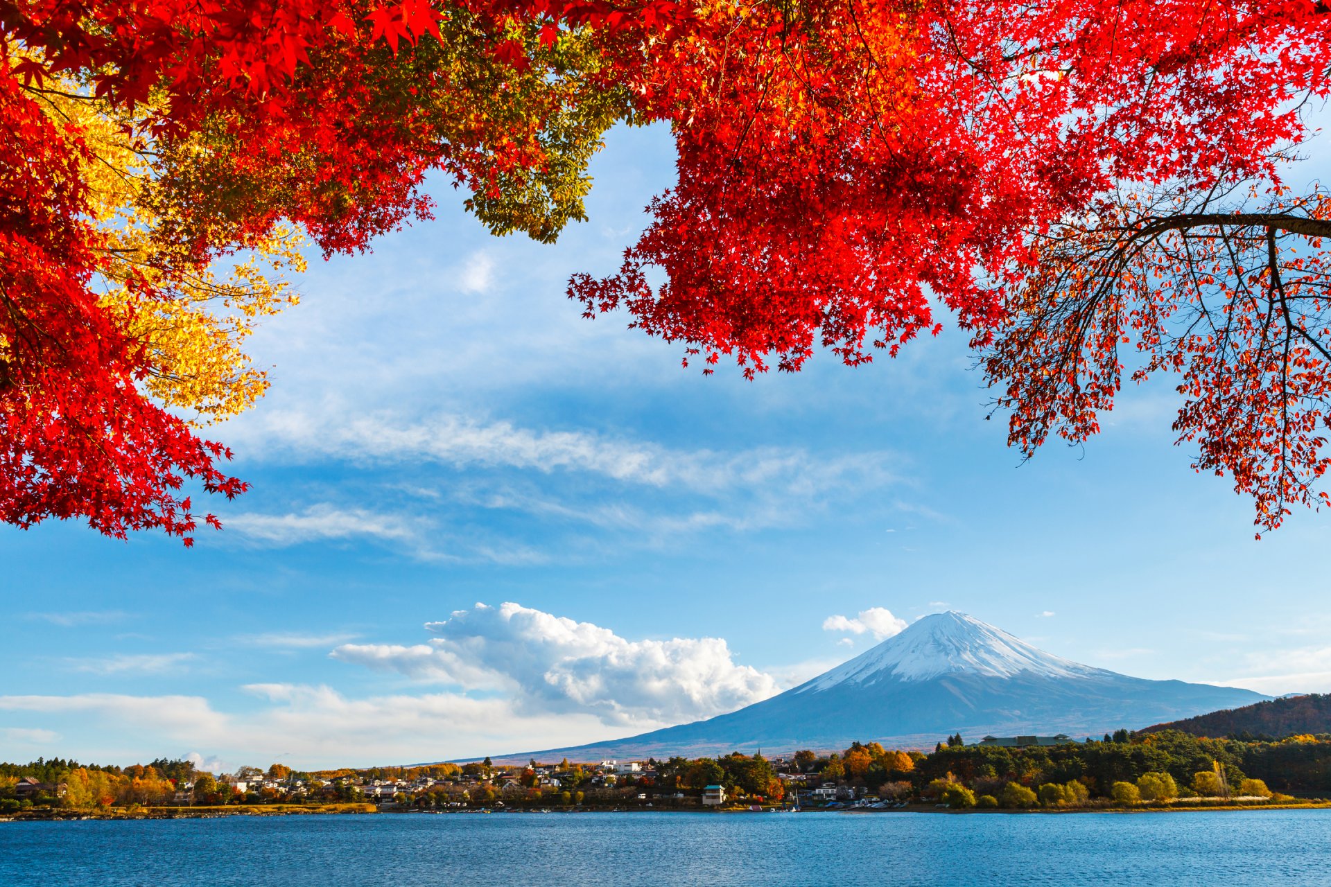 japan fuji sky clouds mountain snow leaves autumn lake tree