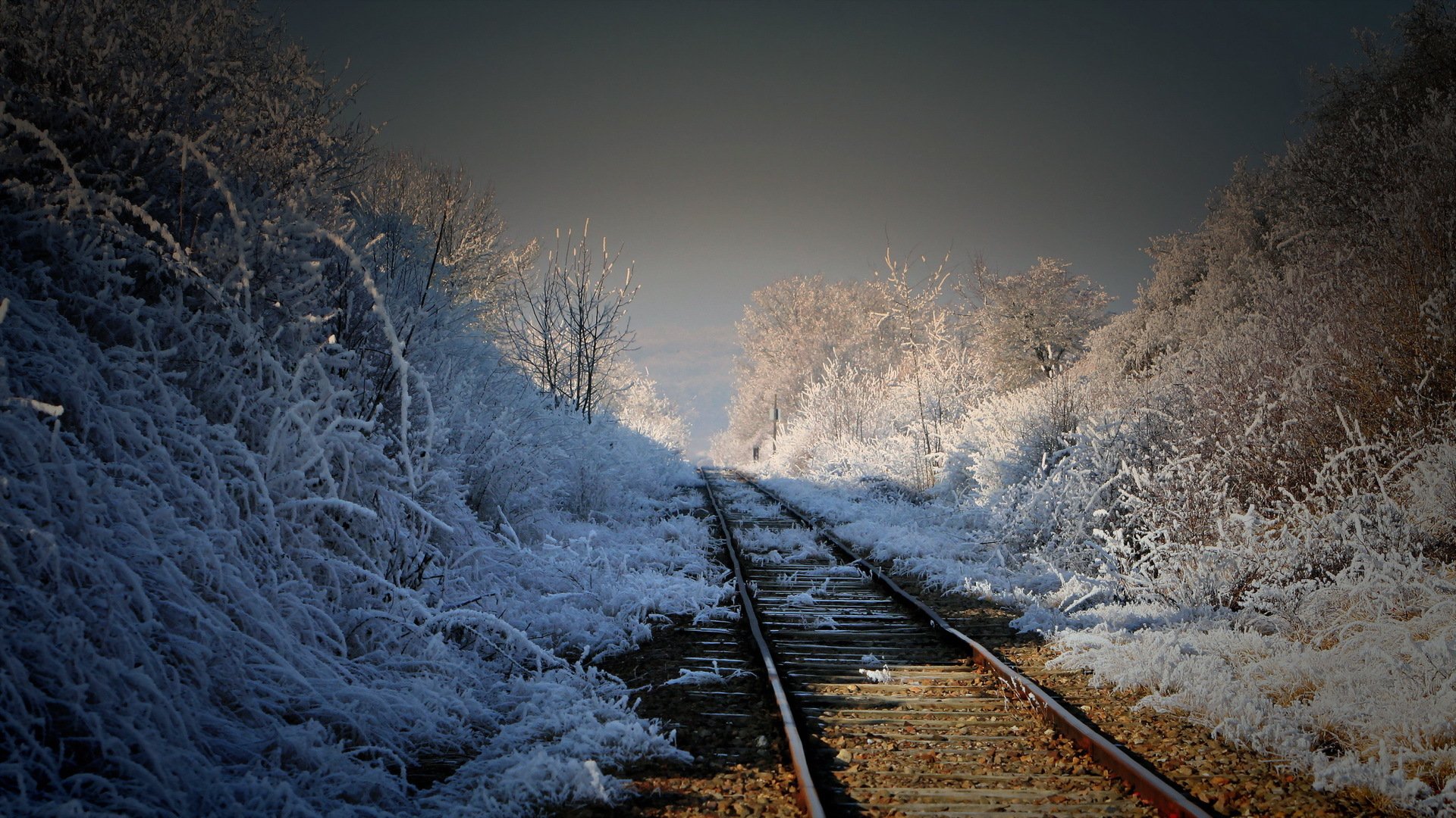 ferrovia mattina natura paesaggio