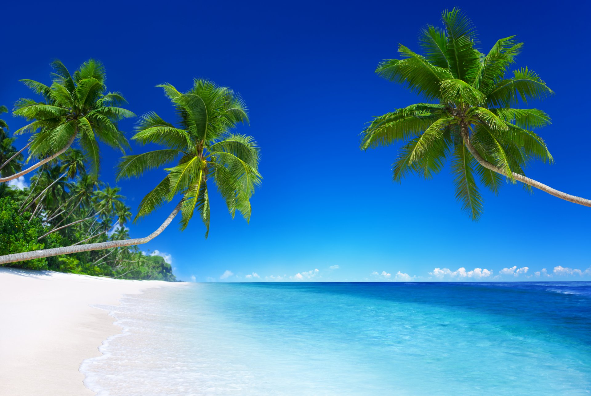 tropisch paradies strand küste meer blau smaragd ozean palm sommer sand urlaub tropen sonne insel küste