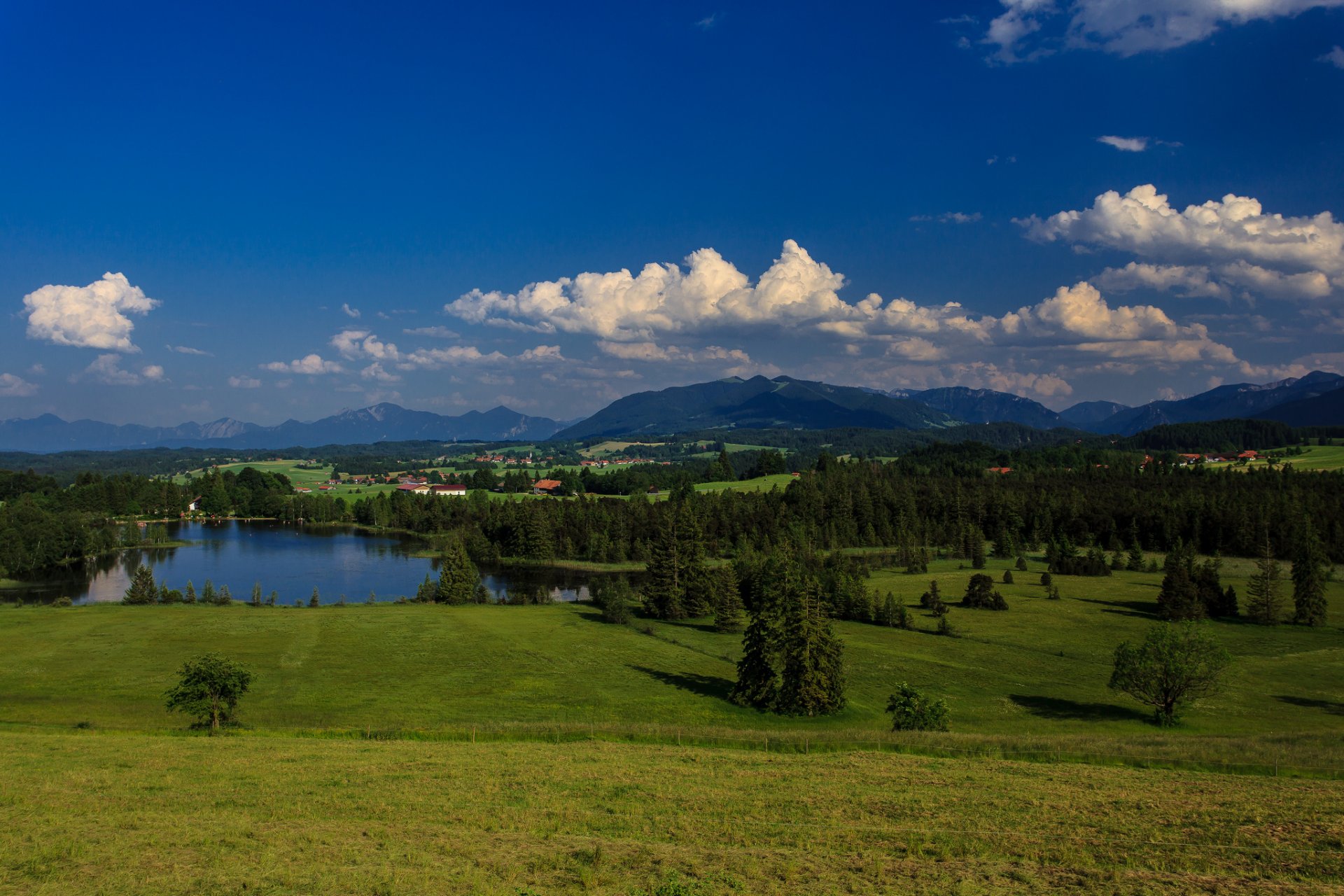 baviera alemania lago bosque