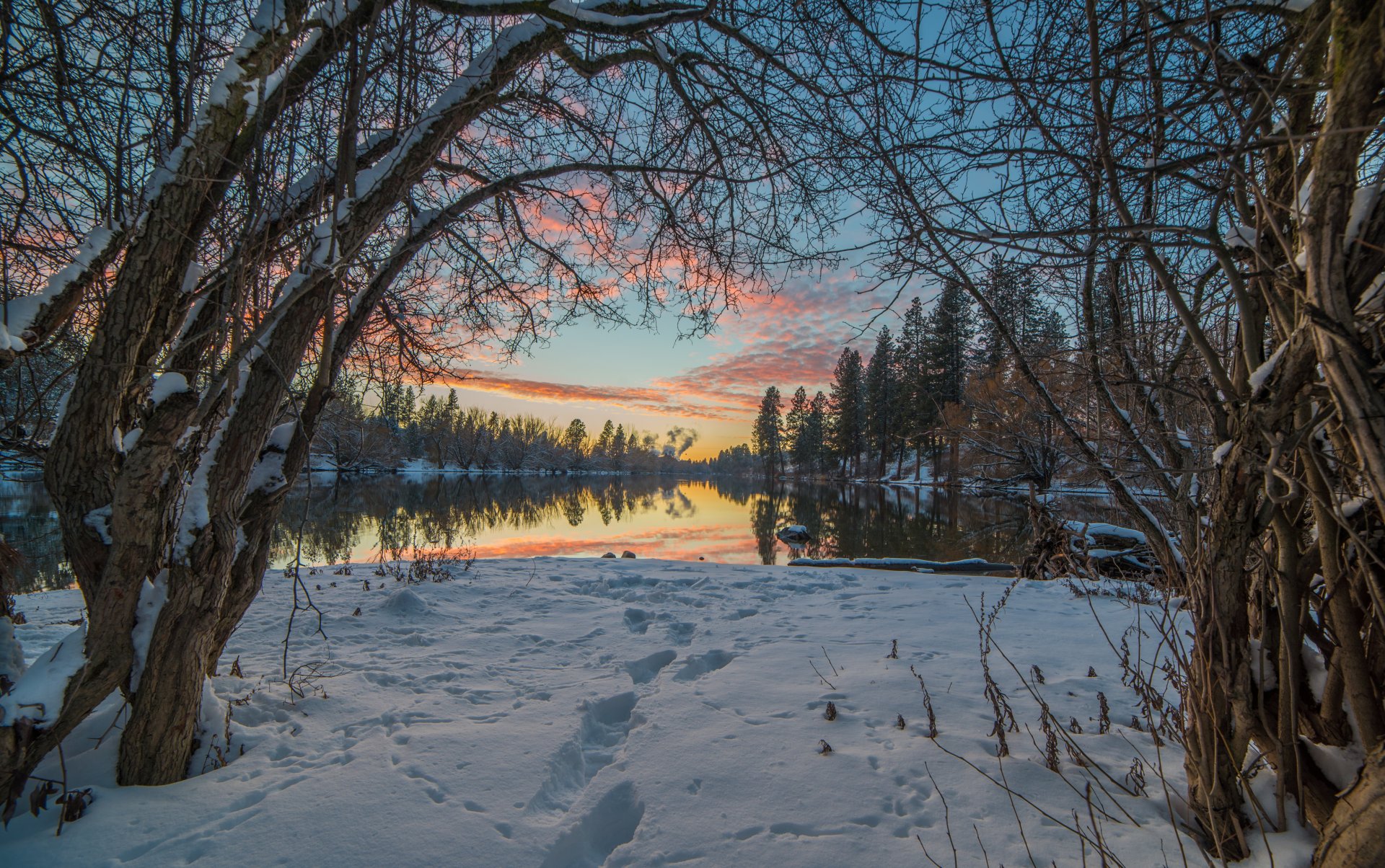 landschaft natur schnee winter spuren bäume zweige himmel