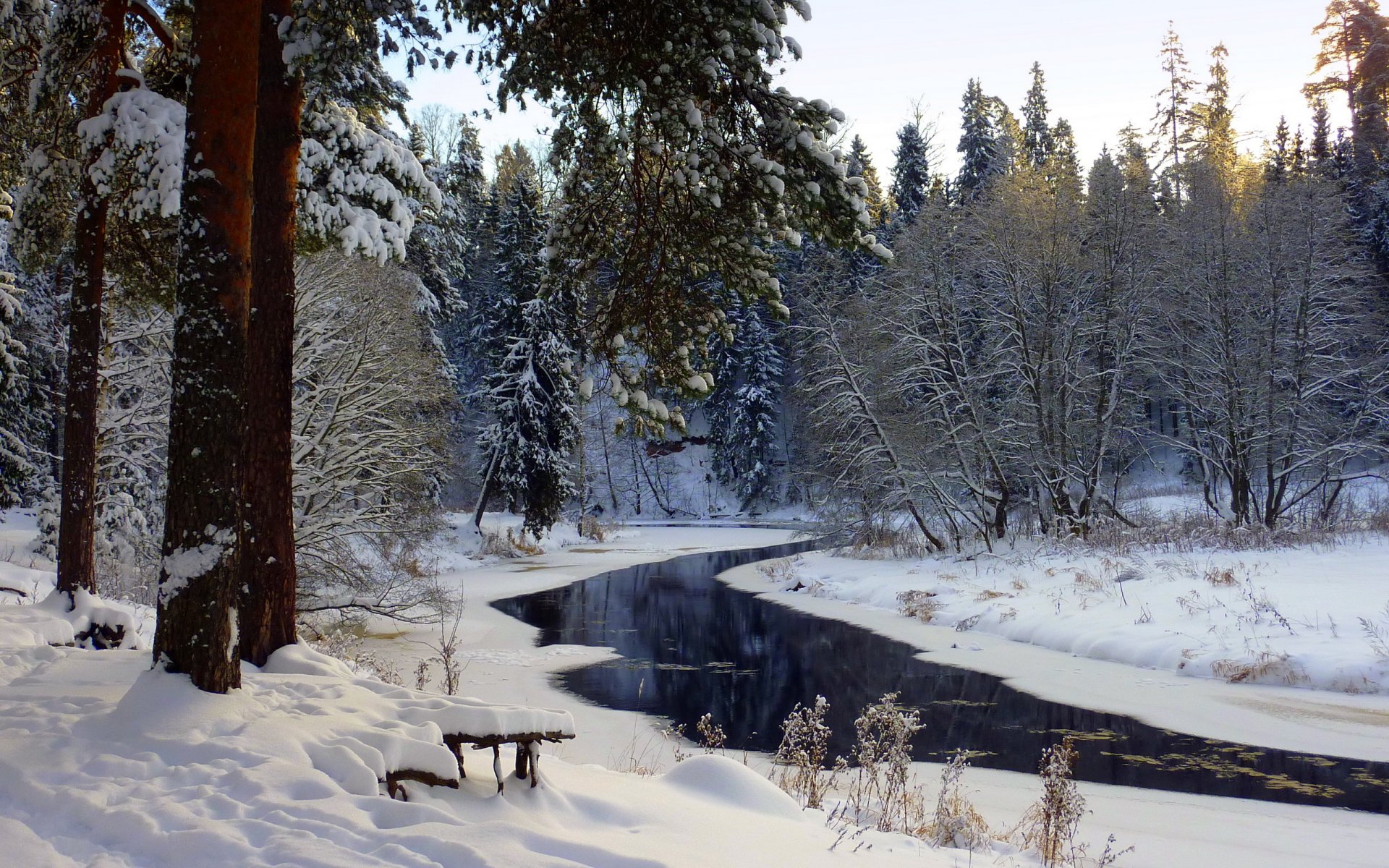 fiume foresta inverno