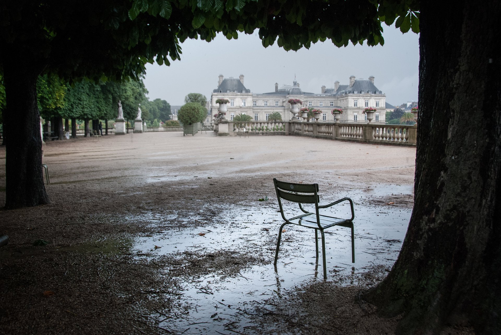 luxembourg terrace tree chair a pool after the rain