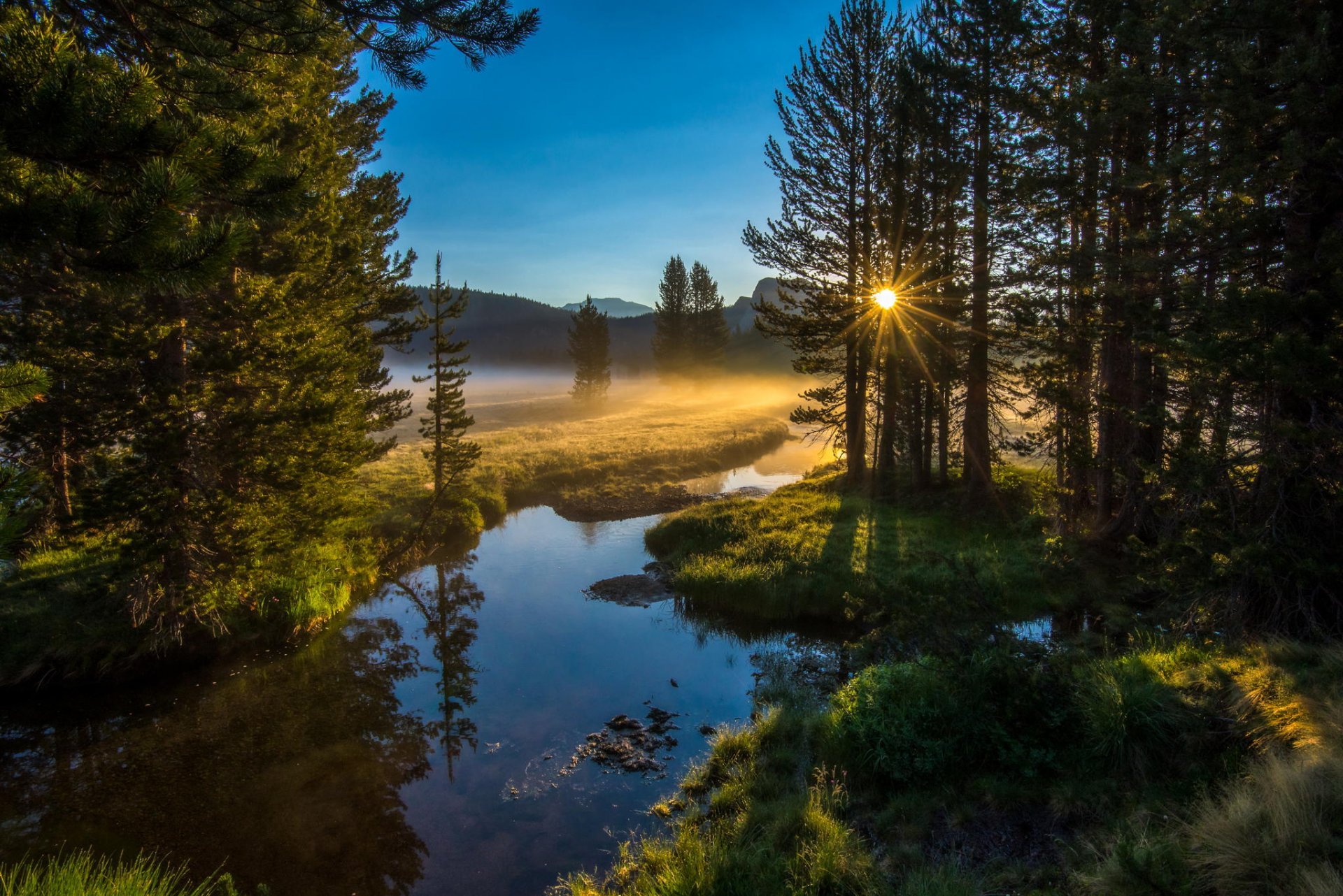 mañana río sol bosque naturaleza